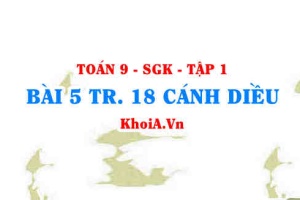 Bài 5 trang 18 Toán 9 Cánh diều Tập 1